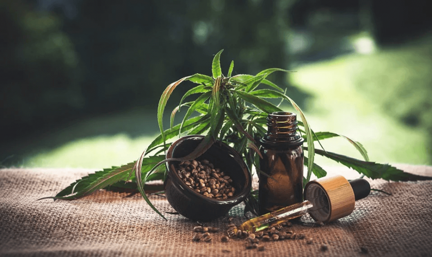 5 Interesting Facts About CBD Oil