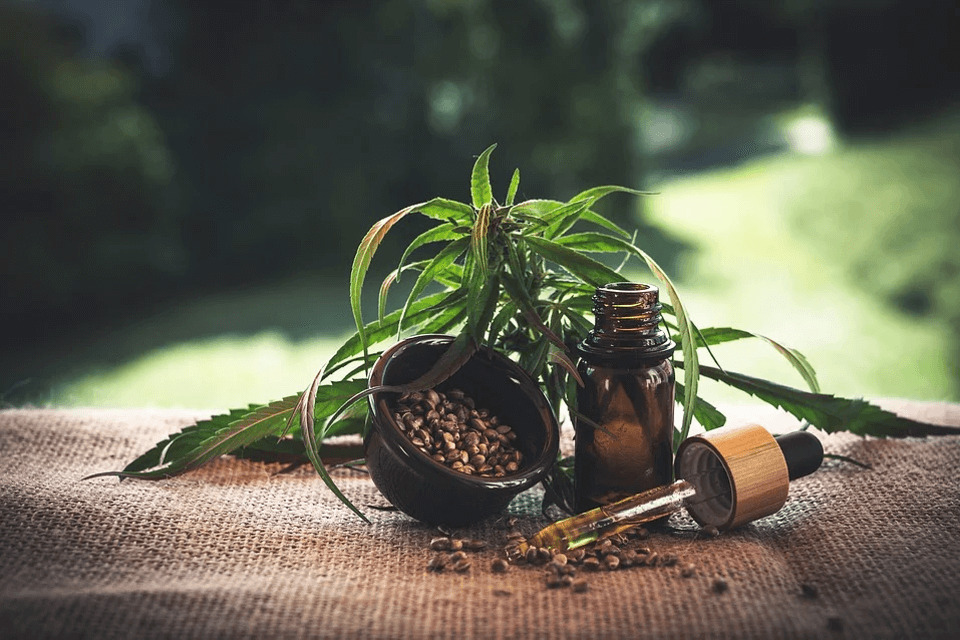 facts-about-cbd-oil
