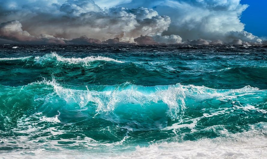 6 Fascinating Facts About The Pacific Ocean