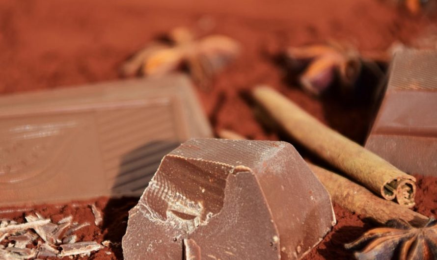 8 Mouthwatering Facts About Chocolate