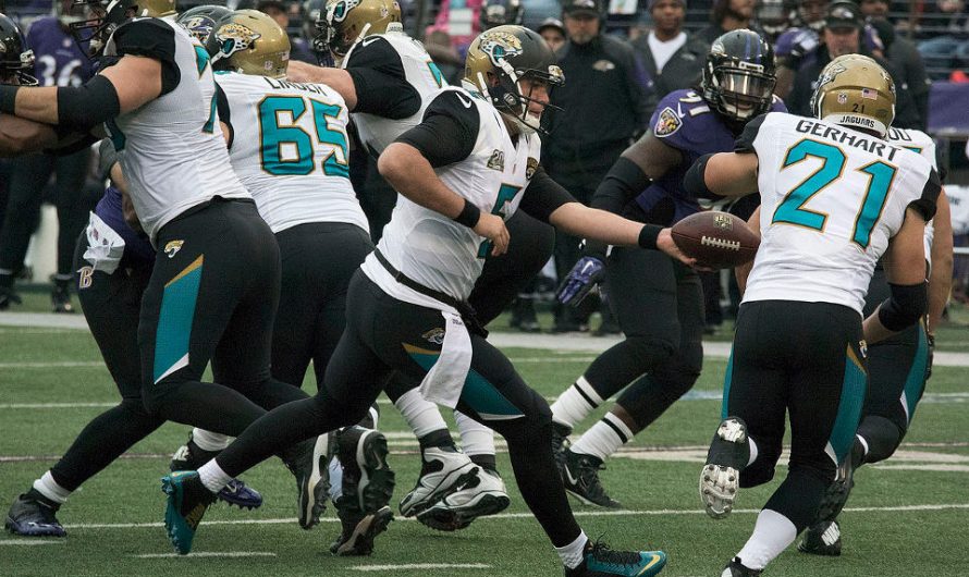 5 Facts About the Jacksonville Jaguars