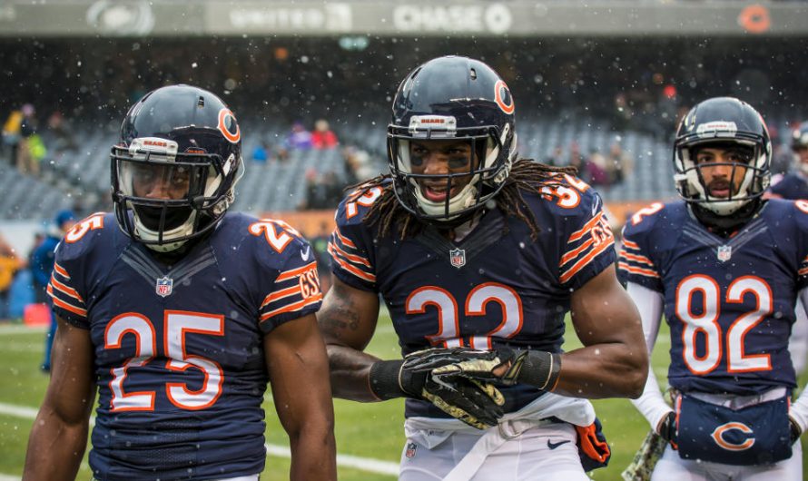 5 Facts About the Chicago Bears