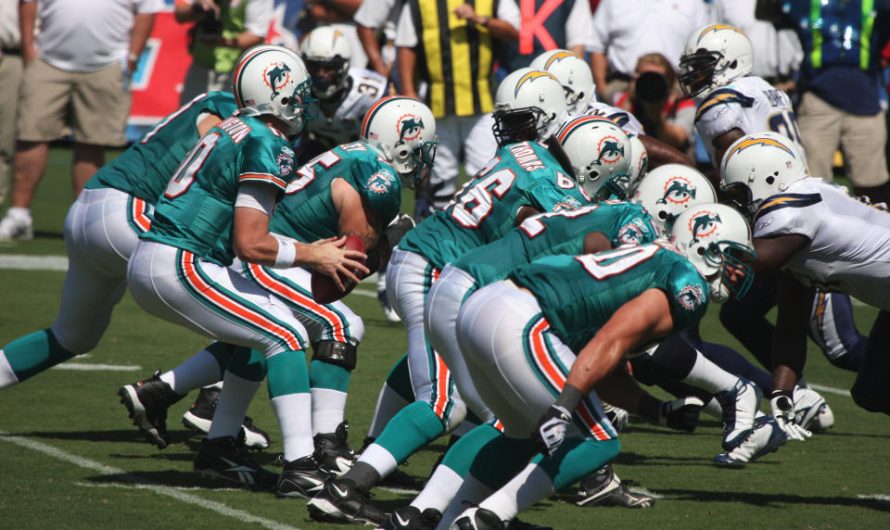5 Facts About the Miami Dolphins