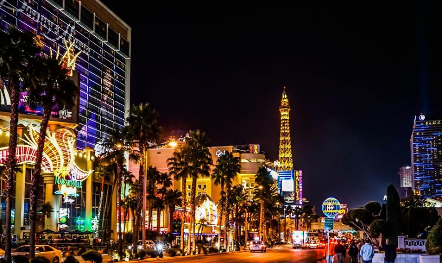 5 Fascinating Facts About Las Vegas