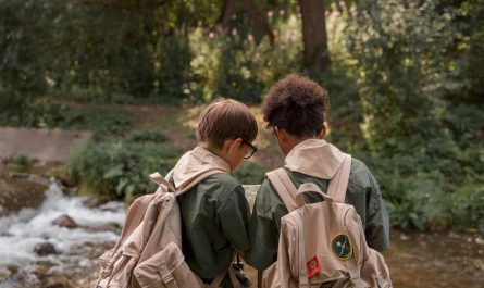 boy-scouts-facts