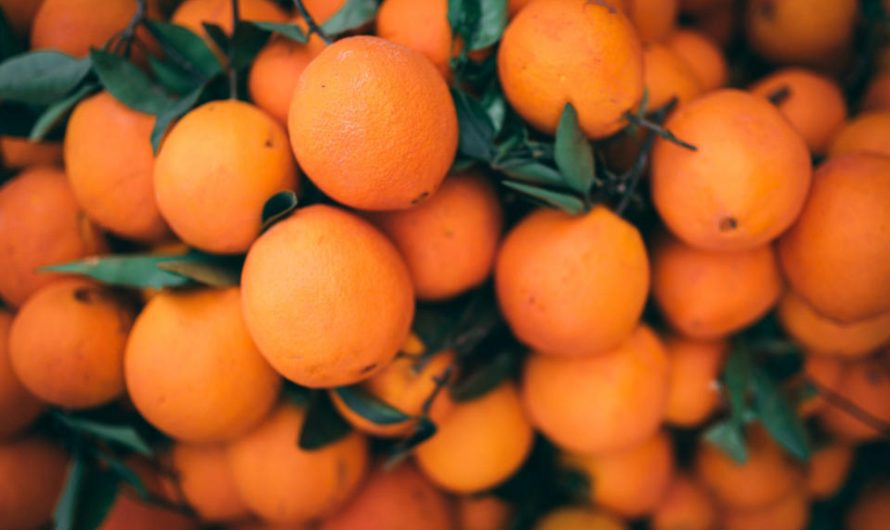 5 Outrageous Facts About Oranges