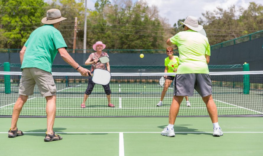 4 Facts About Pickleball
