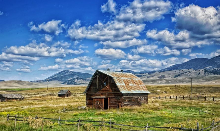 5 Amazing Facts About Montana