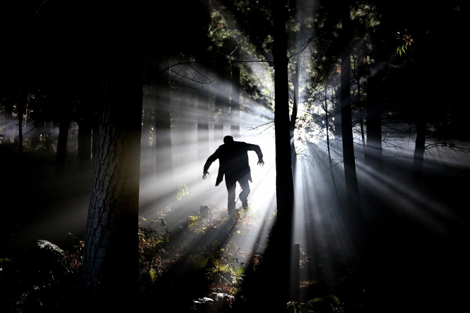 Frankenstein-type monster running in the dark forest with light behind him