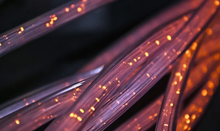 6 Fascinating Facts About the Wide World of the Internet