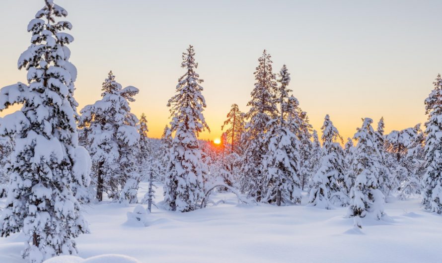 11 Chilly Facts About Winter in America