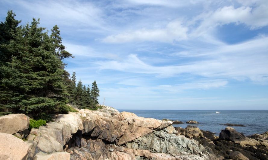 5 Fun Facts About the State of Maine