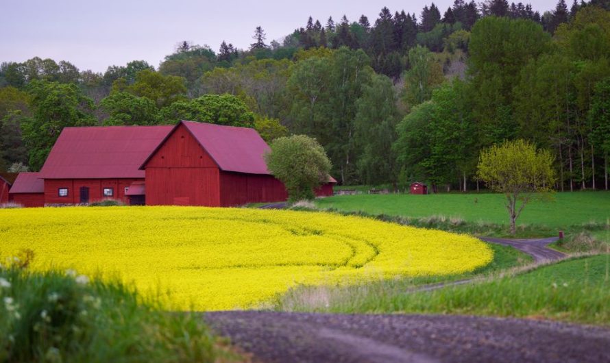 7 Facts About Sweden